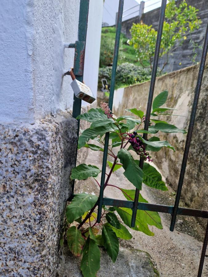 Moradia T2 Em Bairro Pitoresco Da Covilhã Exteriör bild