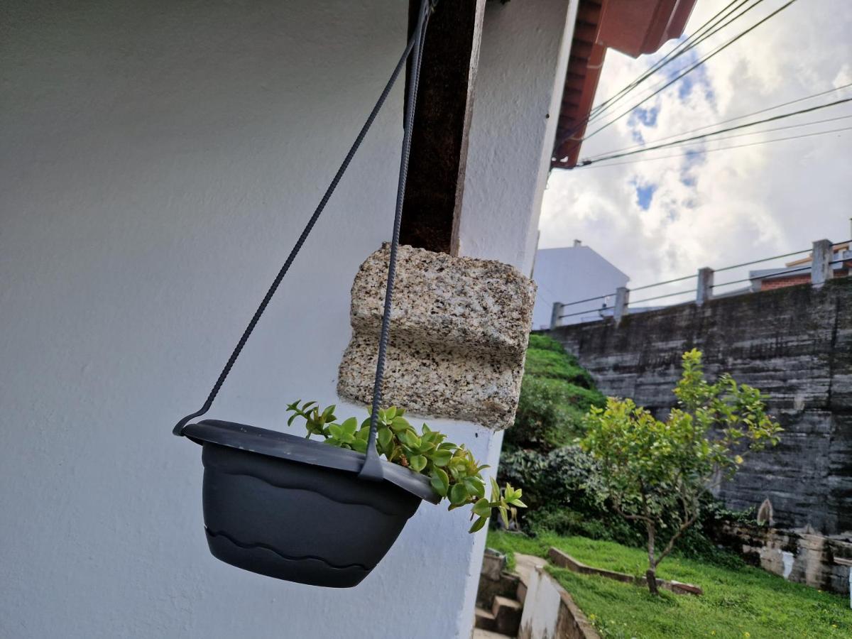 Moradia T2 Em Bairro Pitoresco Da Covilhã Exteriör bild